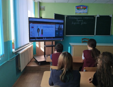 изображение_viber_2026-10-19_11-58-38-910